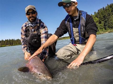 Salmon Fly Fishing Trips To Alaska
