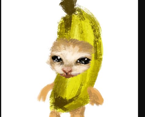 Banana Cat Meme Memes Feel