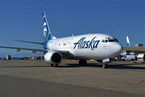 Dogs, cats, ferrets, guinea pigs, hamsters due to covid, some airlines, like delta and american, are not allowing pets as cargo. ONEWORLD CELEBRA QUE ALASKA AIRLINES SE QUIERA UNIR ...