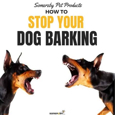 How To Stop Your Barking Dog Successfully The Updated 2018 Guide