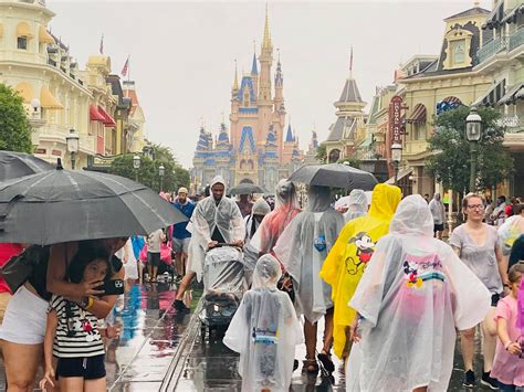 Best Places To Escape The Rain In Disney World