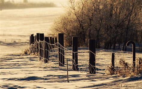 Winter Fields Fence Snow Wire Trees Landscape Hd Wallpaper Peakpx