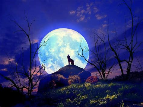 Full Wolf Moon In Cancer January 12th Awareness And Personal Power