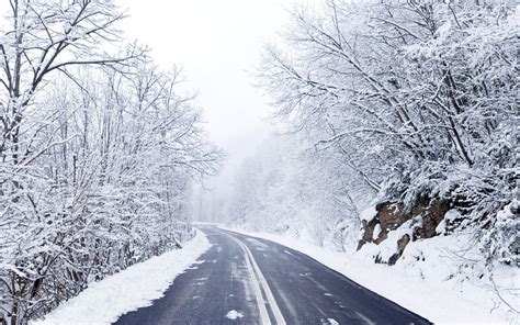 Wallpaper Forest Road Frost Freezing Tree Weather Season