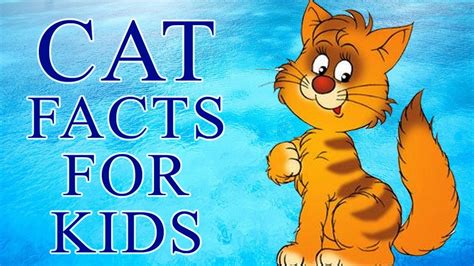 21 Facts About Cats And Kittens For Kids Free Coloring Pages