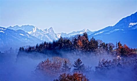 Wallpaper Trees Landscape Forest Mountains Nature Snow Winter