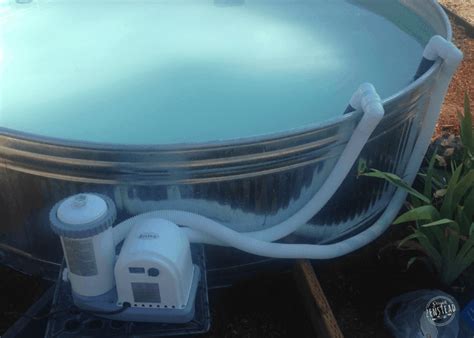How To Create A Diy Stock Tank Pool The Ultimate Guide Rooted Revival Aka Project Zenstead