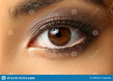 Beautiful Brown Eye Of A Young Woman Stock Image Image Of Charming