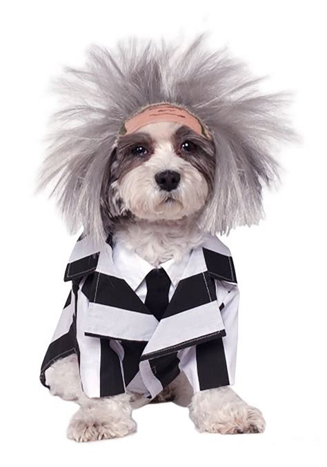 The benefits of keeping your dog busy. Beetlejuice Pet Costume