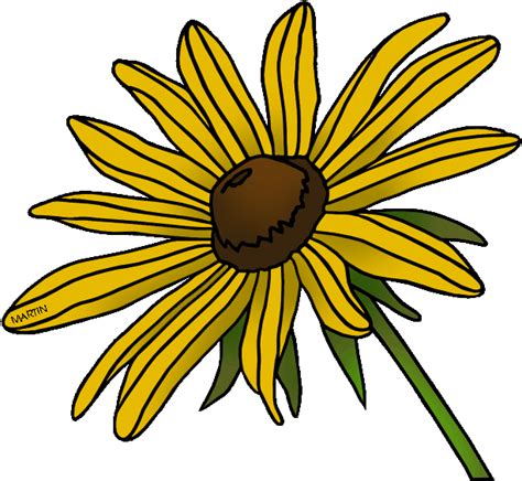 State Flower Of Maryland Black Eyed Susan Clip Art Png Download
