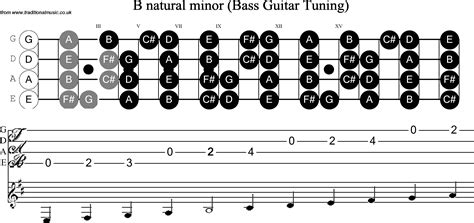 Bass Guitar Scale B Minor