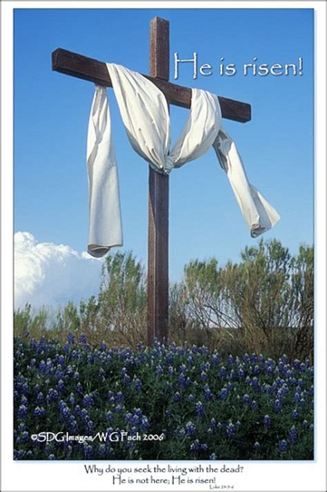And love and light to all people of all faiths. FReeper Canteen ~ Sunday Chapel ~ Happy Easter: He Is Risen! ~ 31 March 2013