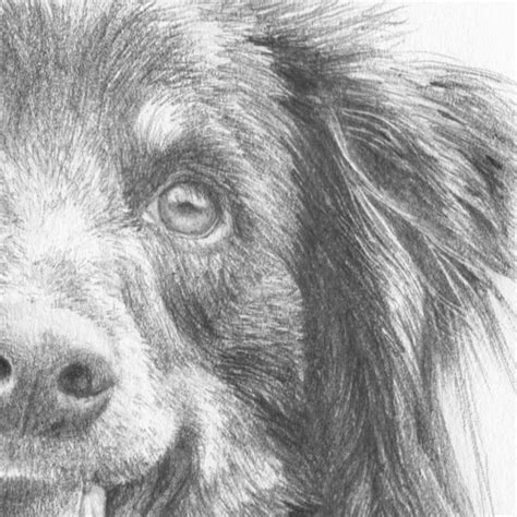 How To Draw Dogs Course Online Art Lessons