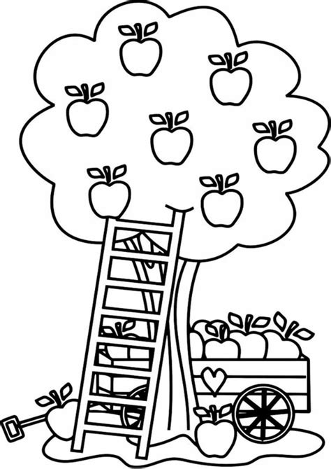 Https://tommynaija.com/coloring Page/apple Coloring Pages For Preschoolers Free