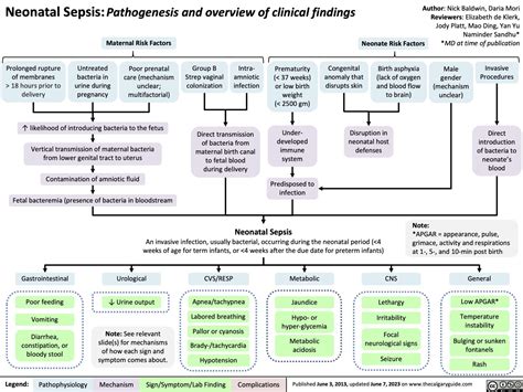Neonatal Sepsis Pathogenesis And Overview Of Clinical Findings My XXX Hot Girl