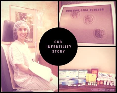 our infertility journey amateur nester