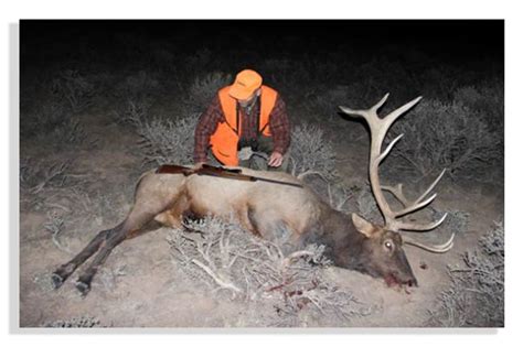10 Tips For Every Elk Hunter Petersen S Hunting