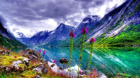 Natural Landscape River Valley Flowers Sky Mountain Picture For Desktop Hd Wallpaper Pc Tablet