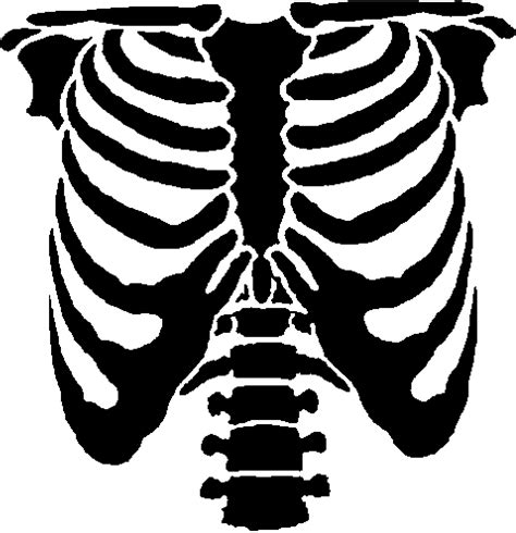 Rib Cage Png Download Transparent Ribs Png For Free On Pngkey Com