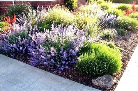 94 Awesome Low Water Landscaping Ideas For Your Garden Low Water