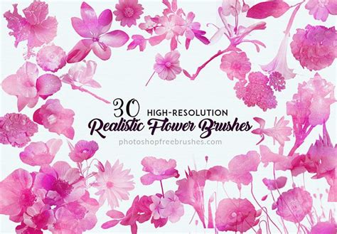 Free octopus photoshop brushes 1. 30 Realistic Flowers Brushes for Feminine Designs ...