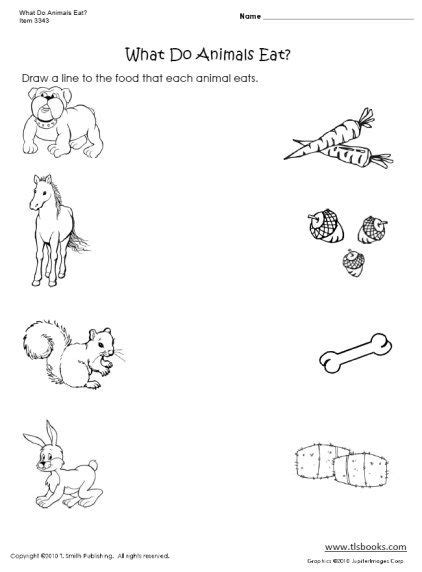 What Do Animals Eat Worksheets For Kids Animal Worksheets Animal