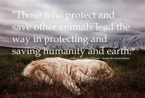 Quotes About Protect Wildlife 31 Quotes Animal Quotes Animal