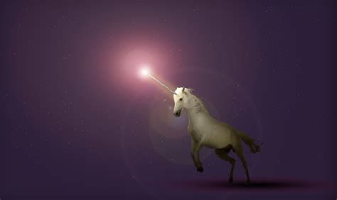 A Brief History Of Unicorns