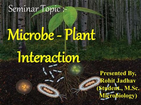 Microbe Plant Interaction Seminar Ppt