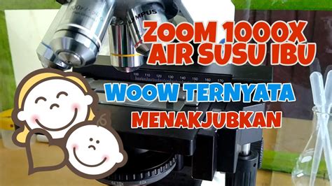 Kemudian untuk doa memohon ampunan untuk kedua orang tua beserta latin dan artinya adalah sebagai berikut. AIR SUSU IBU || ZOOM 1000X SETETES AIR SUSU IBU : WOW ...