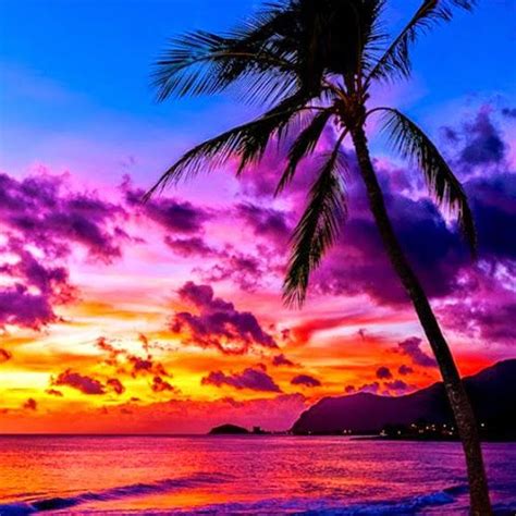 Waiākea This Beautiful Akaʻula Red Sunset Has Us In Aw