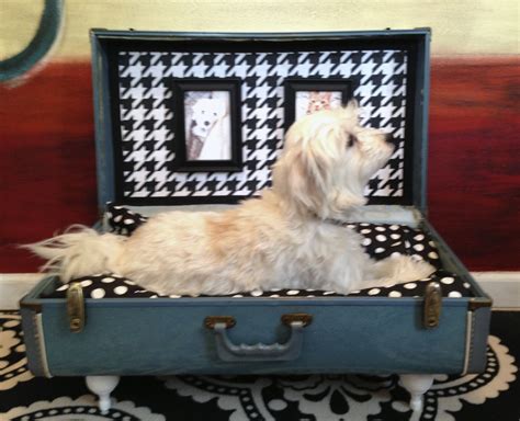 Vintage Suitcase Pet Bed Dog Furniture Diy Dog Bed Puppy Beds