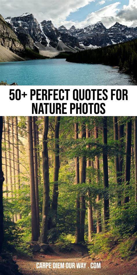 101 Perfect Nature Captions For Instagram Photos Carpe Diem Our Way