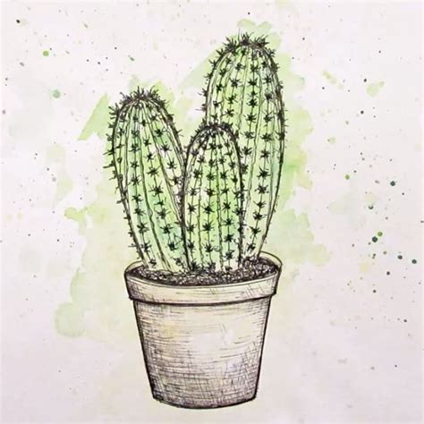 The 25 Best Cactus Drawing Ideas On Pinterest Cactus Art Cactus