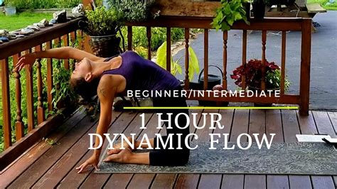 1 Hour Vinyasa Yoga Flow Dynamic Yoga Practice For Beginner