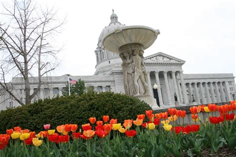 Tulips And Other Flowers In Front Of The State Capitol Building