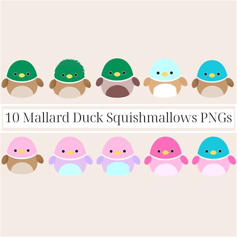 10 Mallard Duck Squishmallows PNG Clipart Images With Transparent