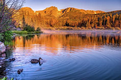 First Light At Sprague Lake Rocky Mountain Park Photograph By Gregory