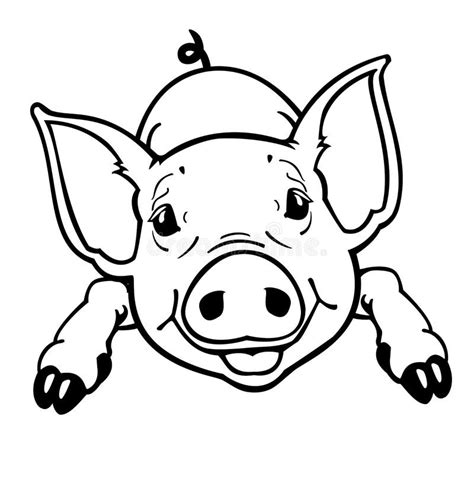 Piglet Black And White Royalty Free Stock Photos Image 27196678