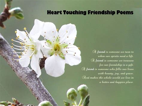 Heart Touching Friendship Poems Friendship Poems True Friendship
