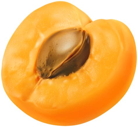 Apricot Png Image With Transparent Background Transparent Image