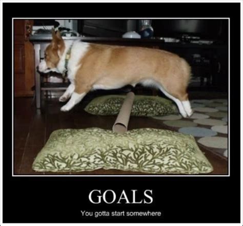 Happy funny tuesday quotes with images pictures tuesday. Image result for tuesday motivation funny | Corgi memes ...
