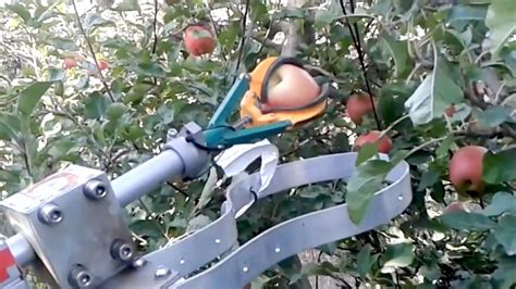 Automatic Fruit Picker Demonstration By Ff Robotics Ifta 2017 Youtube