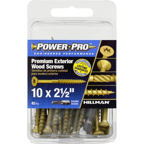 Power Pro 10 X 2 12 In Epoxy Exterior Wood Screws 45 Per Box In The