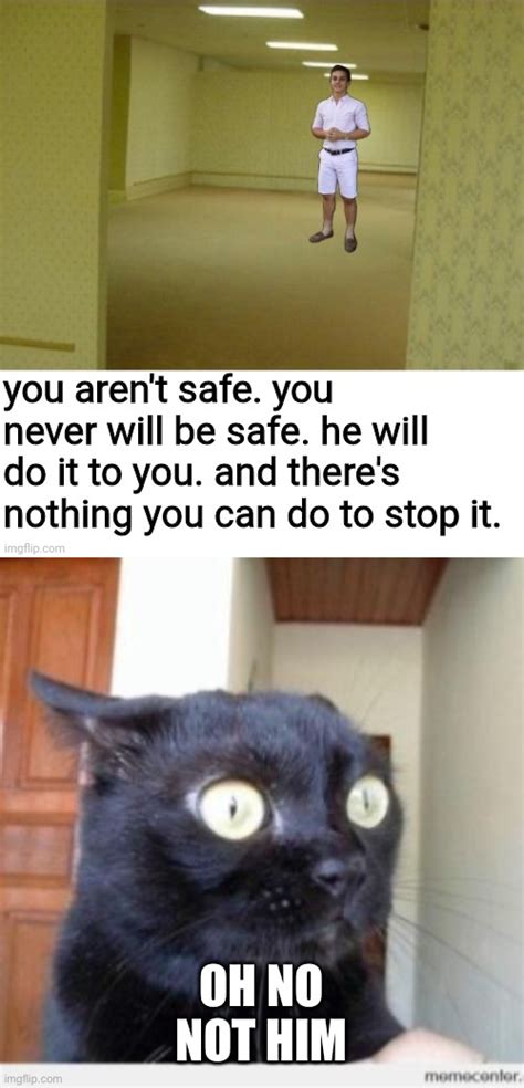 Image Tagged In Scared Catmemesfunny Memescatsoh No