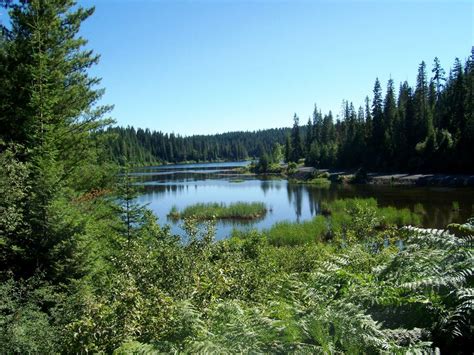 Elk River Id Elk Creek Reservoir View From Loop Road Photo Picture