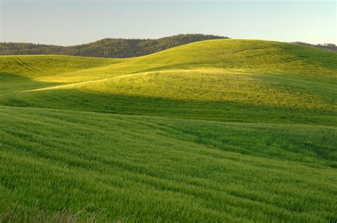 Green Grassy Hills Landscape Image Free Stock Photo Public Domain