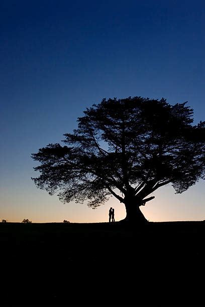 40 Adam And Eve Silhouette Stock Photos Pictures And Royalty Free