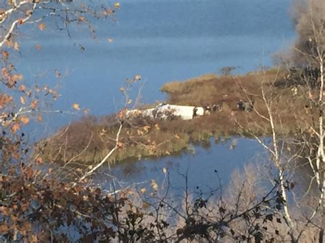 Breaking A Plane Has Crashed Into The San Joaquin River Behind The