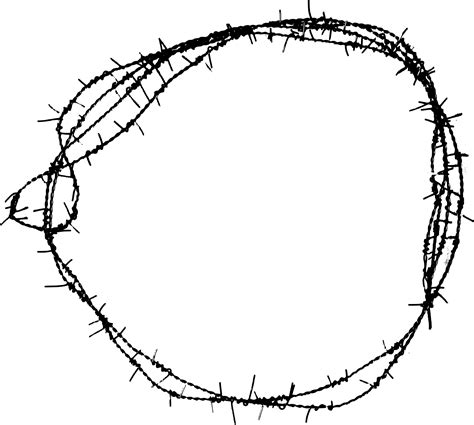 Barbed Wire Vector Png Free Png Image